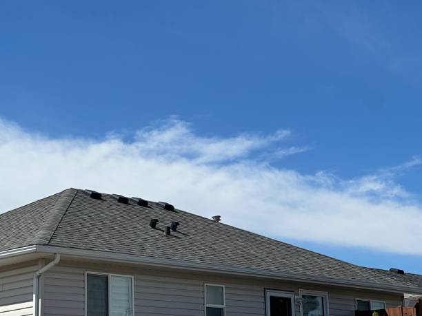 Best Roof Insulation Installation  in Lewiston, MN