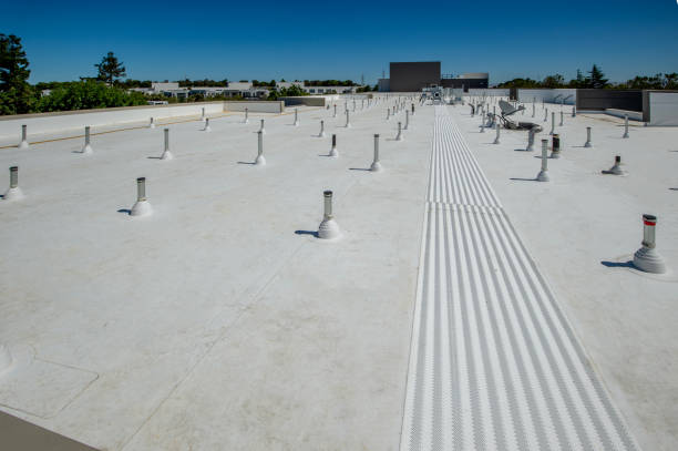 Best Commercial Roofing Services  in Lewiston, MN